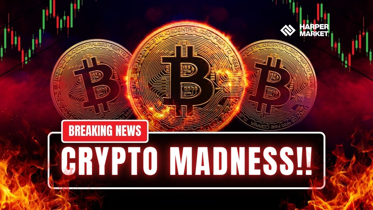 Major Indexes Rally as Crushes Bitcoin and Crypto Stocks Skyrocket 2026